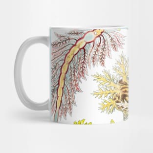 Under Water Animals Mug